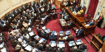 LA SEMANA QUE VIENE EL SENADO BUSCARÁ APROBAR LA INSISTENCIA DE LA EMERGENCIA EN DISCAPACIDAD