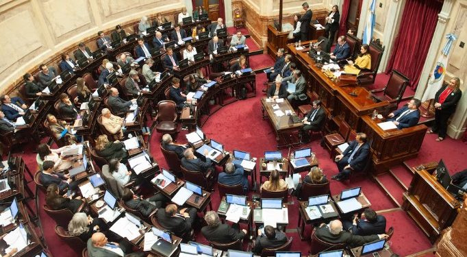 LA SEMANA QUE VIENE EL SENADO BUSCARÁ APROBAR LA INSISTENCIA DE LA EMERGENCIA EN DISCAPACIDAD