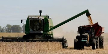 EN SOLO CUATRO AÑOS, 6500 PRODUCTORES DEJARON DE SEMBRAR SOJA