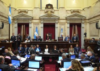 SENADO: SE DEFINE EL TEMARIO DE LA SESIÓN, CON LOS VETOS DE MILEI Y EL SECTOR NUCLEAR EN LA MIRA OPOSITORA