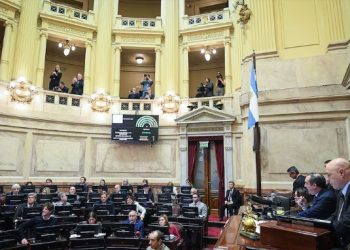 EL GOBIERNO SE RESIGNA A UNA DERROTA EN EL SENADO Y NO NEGOCIARÁ PARA FRENAR LA EMERGENCIA EN DISCAPACIDAD