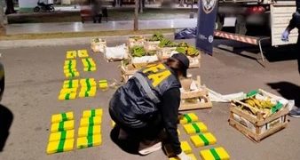 SECUESTRARON 85 KILOS DE COCAÍNA EN UN CAMIÓN QUE TRANSPORTABA BANANAS