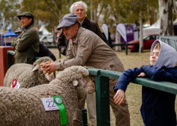 OLAVARRÍA: «ES LA EXPOSICIÓN MÁS ESPERADA POR LA REGIÓN»