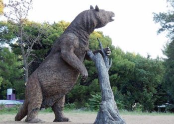 CARBAJO: «QUEREMOS QUE SE VALORE EL PATRIMONIO GEOLÓGICO Y PALEONTOLÓGICO NACIONAL»