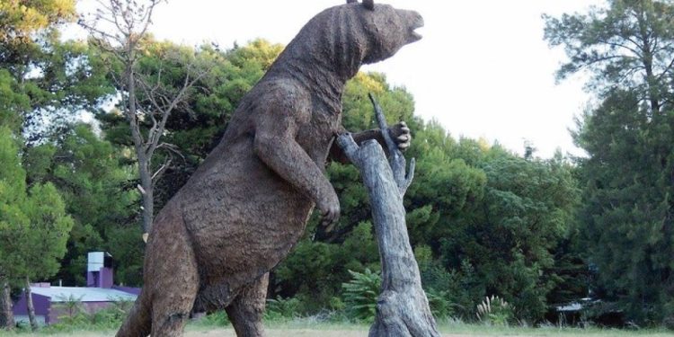 CARBAJO: «QUEREMOS QUE SE VALORE EL PATRIMONIO GEOLÓGICO Y PALEONTOLÓGICO NACIONAL»