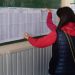 ALTO NIVEL DE AUSENCIA EN LAS ELECCIONES LEGISLATIVAS: UNO DE CADA TRES ELECTORES NO FUE A VOTAR