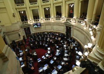 SENADO: LA CASA ROSADA RESISTE UNA ÚLTIMA SESIÓN ACORDADA ANTES DE DICIEMBRE Y TENSIONA CON LA OPOSICIÓN