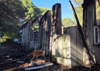 DEBIDO A UN INCENDIO SE DESTRUYÓ LA CAPILLA DE PEHUEN CO