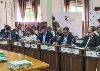 JOUGLARD: «SE VA A DAR UN AUMENTO EXCESIVO DE IMPUESTOS PARA LOS BAHIENSES»