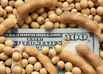 BAJA DE RETENCIONES AL AGRO: QUÉ IMPACTO TENDRÁ SOBRE EL DÓLAR Y CUÁL SERÁ EL COSTO FISCAL DE LA MEDIDA