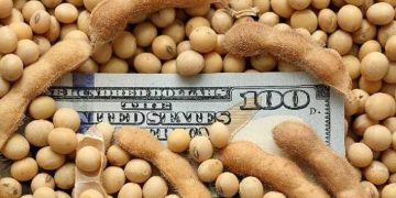 BAJA DE RETENCIONES AL AGRO: QUÉ IMPACTO TENDRÁ SOBRE EL DÓLAR Y CUÁL SERÁ EL COSTO FISCAL DE LA MEDIDA