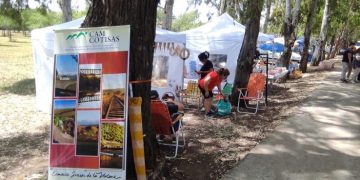 LAMAS: «SE HACE UN GRAN TRABAJO EN CONJUNTO PARA PODER TENER UNA BUENA TEMPORADA»