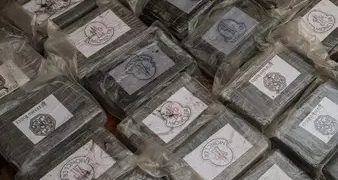 ENCONTRARON UN BOLSO CON 30 KILOS DE DROGA SOBRE LA COSTA DE MONTE HERMOSO