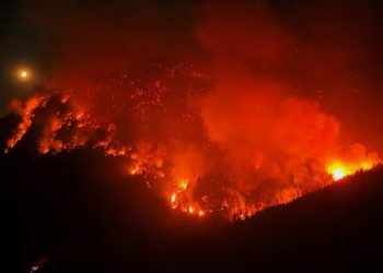 MILEI FUE ACUSADO POR «DESFINANCIAR» EL SERVICIO NACIONAL DEL MANEJO DEL FUEGO