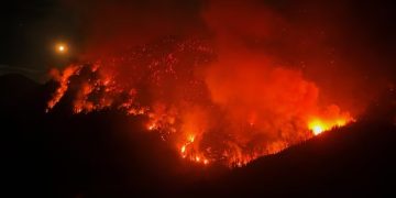 MILEI FUE ACUSADO POR «DESFINANCIAR» EL SERVICIO NACIONAL DEL MANEJO DEL FUEGO