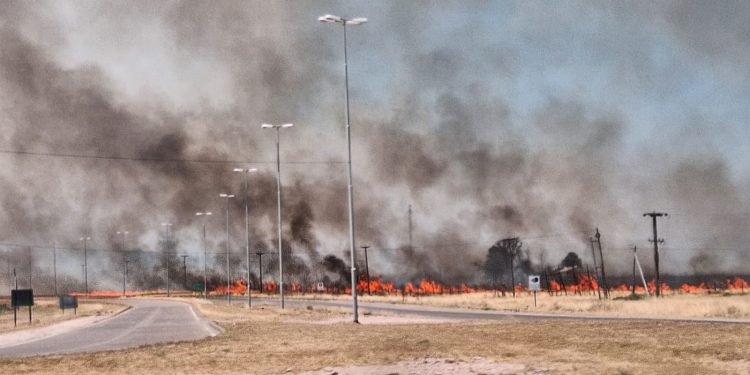 MILLÁN: «EL FUEGO SE DESPLAZÓ MUY RÁPIDO Y PUDIMOS DESVIARLO PARA QUE NO AFECTE EL EDIFICIO»