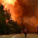 EL GOBIERNO LE OFRECIÓ AYUDA A CHILE EN MEDIO DE LOS INCENDIOS