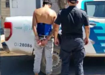 UN HOMBRE FUE DETENIDO POR MATAR A UN PERRO DE UN DISPARO