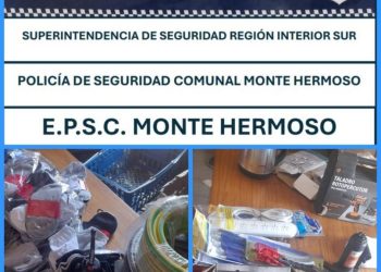 CINCO APREHENDIDOS Y UN DETENIDO EN MÚLTIPLES OPERATIVOS POLICIALES EN MONTE HERMOSO