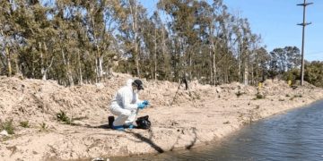 SE CONFIRMÓ LA IDENTIDAD DEL HOMBRE HALLADO SIN VIDA EN INGENIERO WHITE