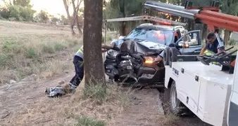 UNA CAMIONETA CHOCÓ CONTRA UN ARBOL EN AVENIDA PRINGLES