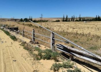 UN CAMION PROTAGONIZO UN CHOQUE CONTRA UN PUENTE EN LA RUTA 51