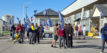 PARO DE 96 HORAS DEL SSIP