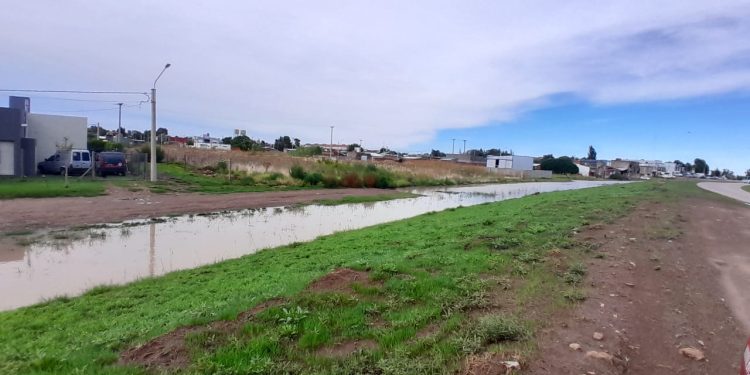 CASPE: «DESPLEGAMOS TODOS LOS RECURSOS DE LAS DELEGACIONES PARA LLEVAR TRANQUILIDAD A LA GENTE»