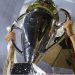ARDE EL TORNEO APERTURA A TRES FECHAS DEL FINAL DE LA FASE REGULAR