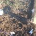 ROBARON LUMINARIAS DE LAS CANCHITAS DE FÚTBOL DEL CENTRO COMUNITARIO LOYOLA