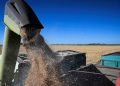 EL GOBIERNO OFICIALIZÓ UNA REDUCCIÓN EN LAS RETENCIONES PARA EL AGRO Y LOS BIOCOMBUSTIBLES