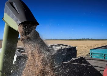 EL GOBIERNO OFICIALIZÓ UNA REDUCCIÓN EN LAS RETENCIONES PARA EL AGRO Y LOS BIOCOMBUSTIBLES