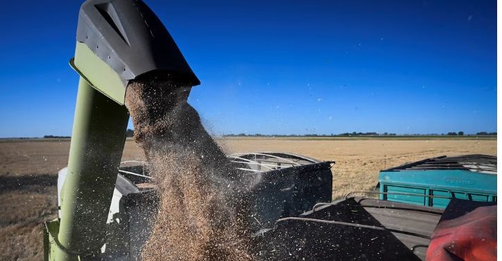 EL GOBIERNO OFICIALIZÓ UNA REDUCCIÓN EN LAS RETENCIONES PARA EL AGRO Y LOS BIOCOMBUSTIBLES