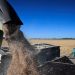 EL GOBIERNO OFICIALIZÓ UNA REDUCCIÓN EN LAS RETENCIONES PARA EL AGRO Y LOS BIOCOMBUSTIBLES