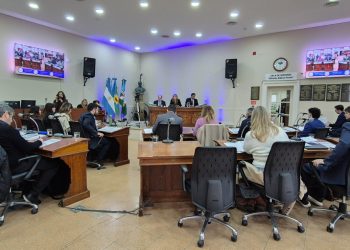 EL HCD LE OTORGÓ SEIS MESES DE PRÓRROGA AL EJECUTIVO EN LA CONCESIÓN DEL TRANSPORTE PÚBLICO