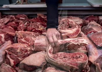POR QUÉ EL CONSUMO DE CARNE VACUNA ESTÁ EN EL NIVEL MÁS BAJO DE LA HISTORIA